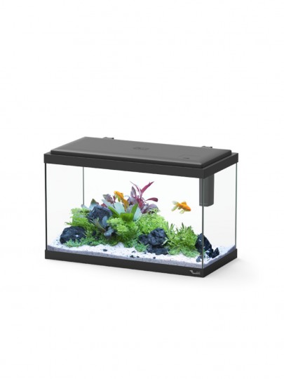 Aquario Explorer Viena 50 - 50 x20 x 26 25L Preto